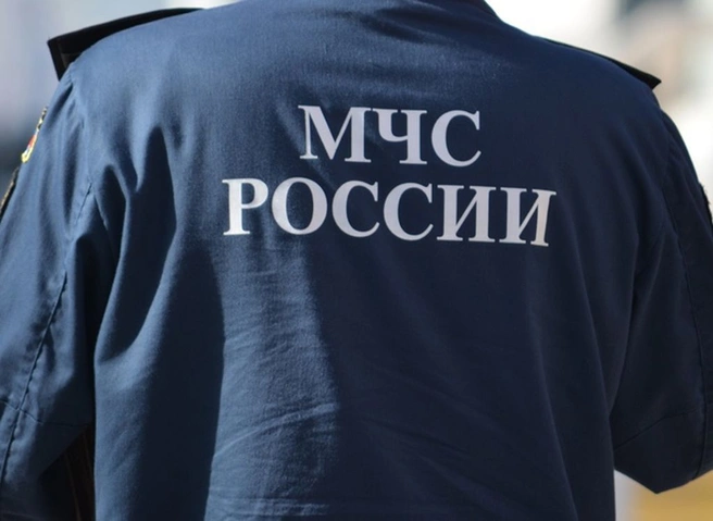 На пожаре в частном доме в Рыбновском районе погибла женщина | ya62.ru