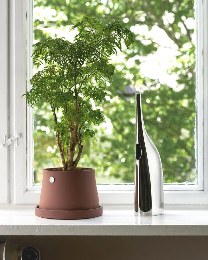 Как правильно поливать комнатные растения: 5 советов | Источник: @snohetta