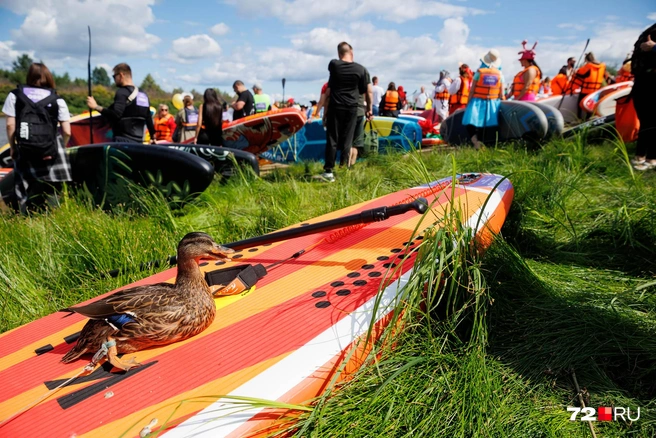 Но самым экзотичным питомцем была эта утка | Источник: Ирина Шарова / 72.RU