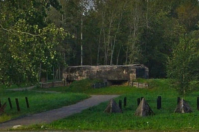 Двое задержаны в Петербурге за осквернение военного памятника