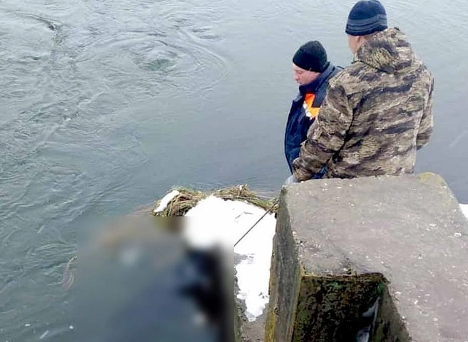 В новомичуринском водохранилище обнаружили труп женщины | ya62.ru