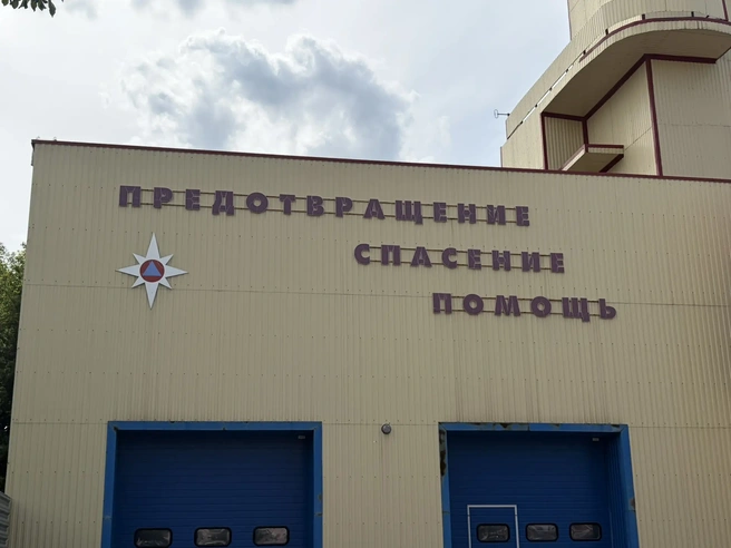 Рязанские спасатели потушили 21 пожар за 7 дней | Источник: Дарья Ходосевич / YA62.RU