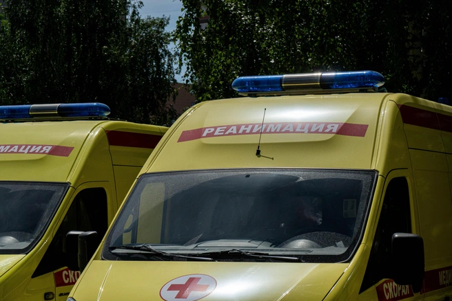 Молодая мать на машине сбила 4-летнего сына, сдавая назад на даче под Лугой | Источник: Александр Ощепков / NGS.RU