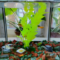 Аватарка Biiiikkitoria