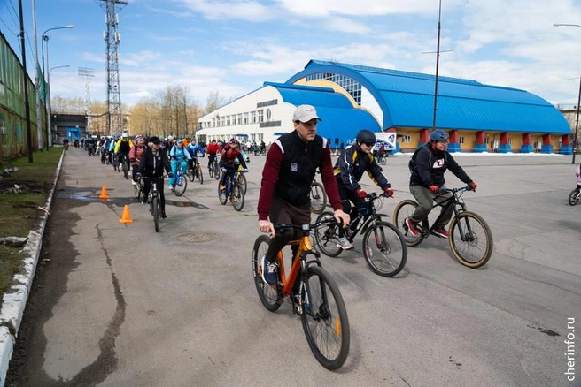 Источник: st.cherinfo.ru