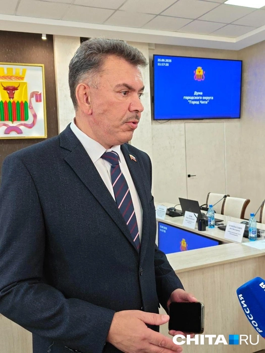 Окончательное решение вправе принять суд | Источник: Тамара Ван-Фу-Ли / CHITA.RU
