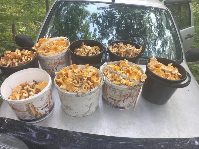 Большая Мурта | Источник: Любовь Ливиндеева / VK