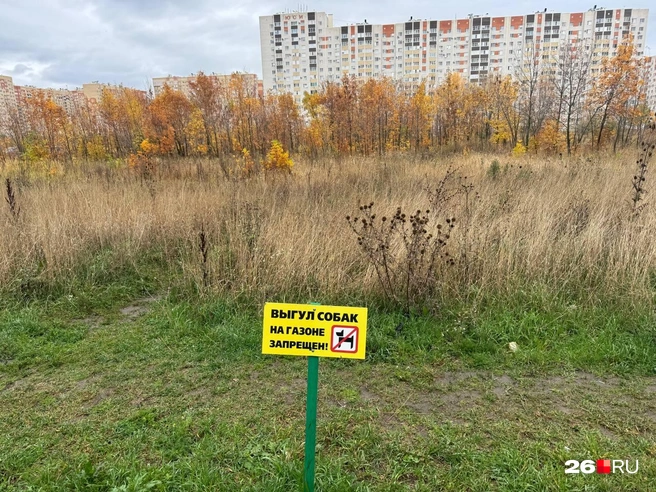 Запрещающие таблички можно увидеть везде | Источник: Дарья Гранкина / 26.RU