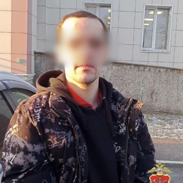 Источник: ГУ МВД России по г. Санкт-Петербургу и Ленинградской области