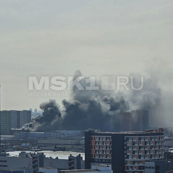 Дым от пожара виден за несколько километров | Источник: читатель MSK1.RU