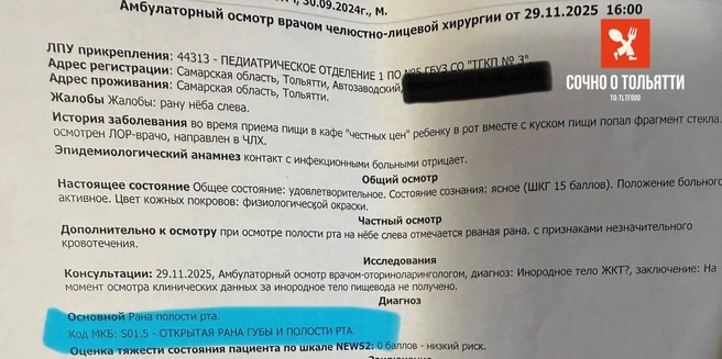 Эту выписку молодая мама показала пабликам Тольятти. В заключении врачей ясно сказано про травмы, которые получил ребенок | Источник: «Сочно о Тольятти» / t.me