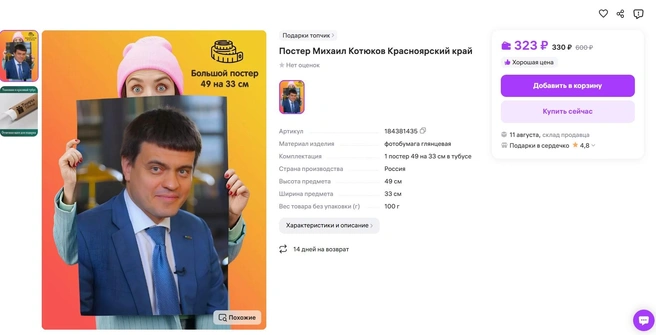 Со скидкой чуть более 300 рублей | Источник: wildberries.ru / пользователь «Подарки топчик»