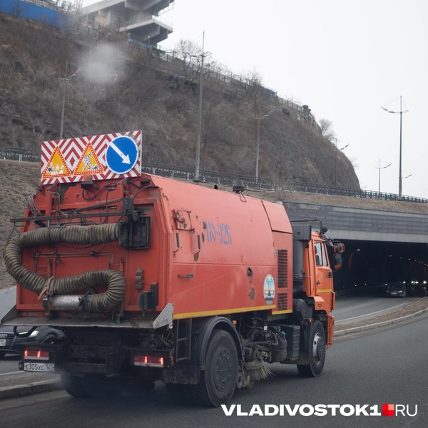 Источник: Елена Буйвол / VLADIVOSTOK1.RU