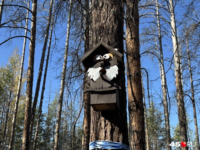 Источник: Кирилл Митин