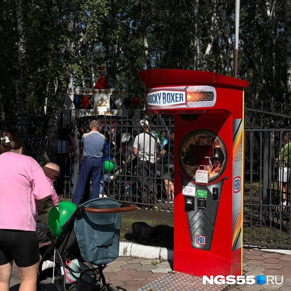 Силомер работает 24/7 | Источник: Анна Иванина / NGS55.RU