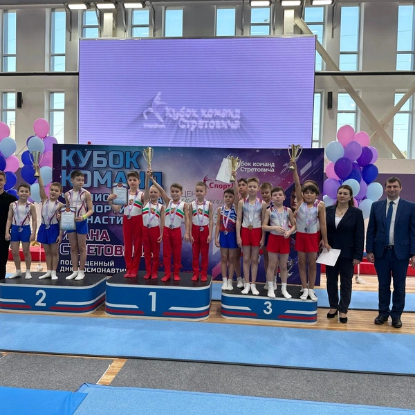 Источник: Федерация спортивной гимнастики Челябинска