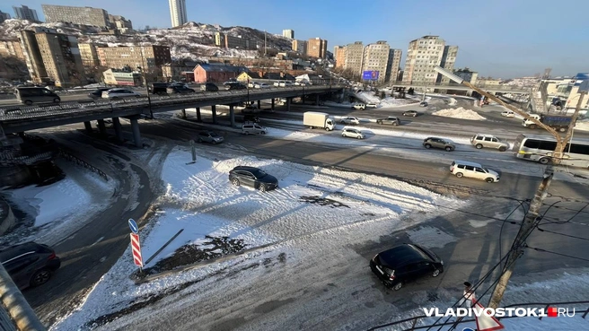 Источник: Елена Буйвол / VLADIVOSTOK1.RU