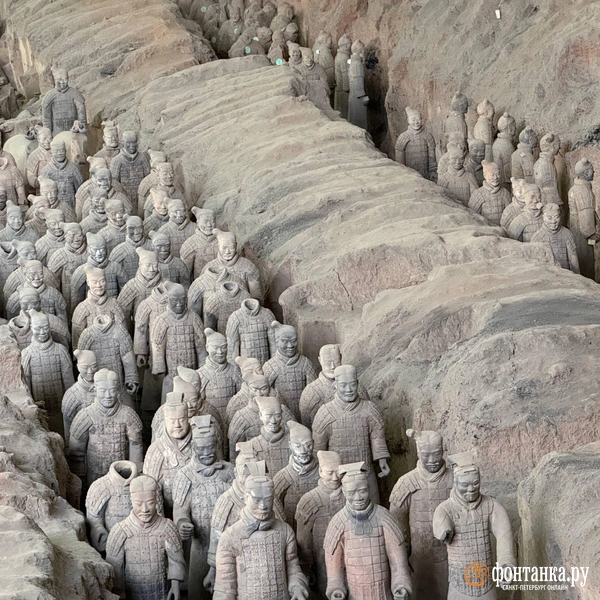 Источник: Милена Солдатенко / «Фонтанка.ру»