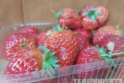 В Приамурье из Китая ввезли более 3,2 тысячи тонн ягод