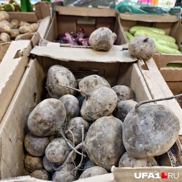 Источник: Булат Салихов / UFA1.RU