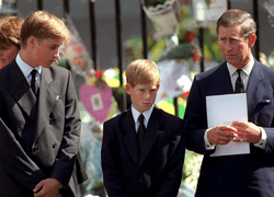 О чем принц Чарльз попросил Гарри и Уильяма перед похоронами принцессы Дианы