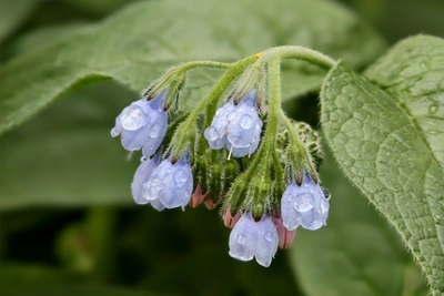 Тепло в Краснодаре сменится дождями к выходным