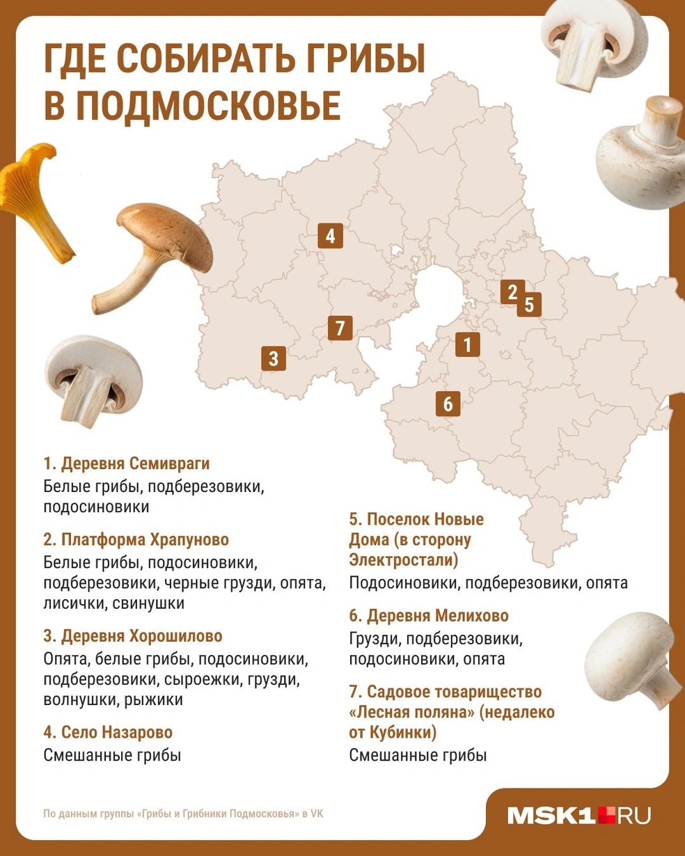 Источник: Юрий Скулыбердин / Городские медиа