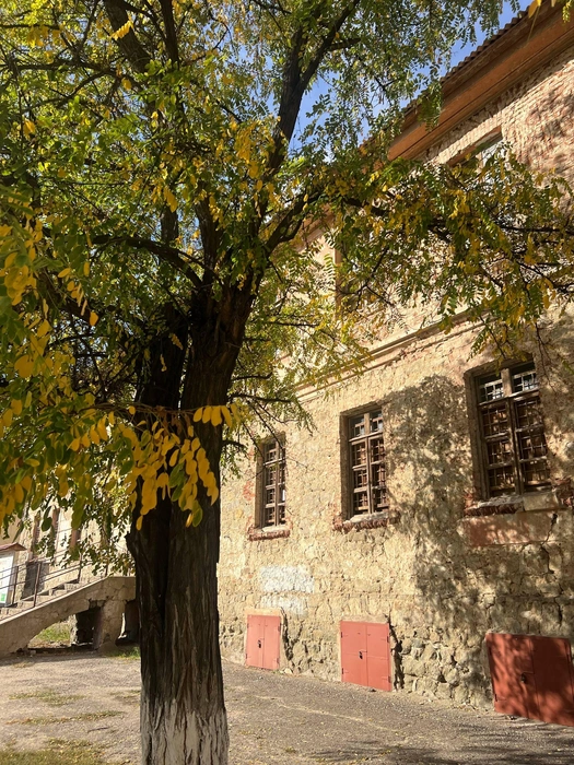 А вот так выглядит осень в Старой Сарепте | Источник: Кристиана Захаркина