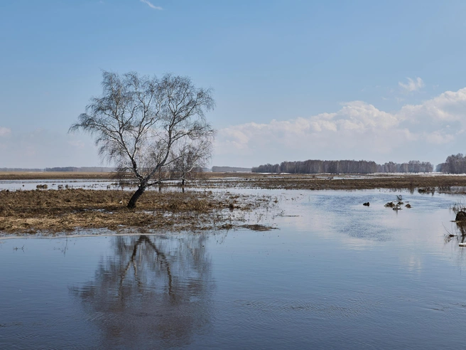 Из-за переливов воды населенный пункт разделился на изолированные «острова». | Источник: Александр Ощепков / NGS.RU