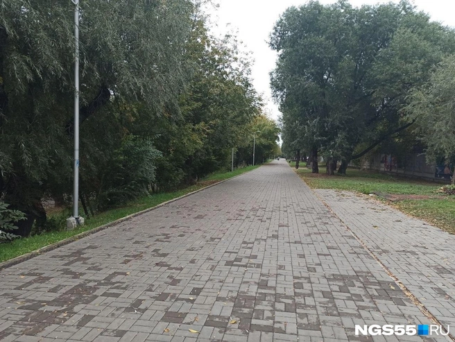 Тротуар в парке «Зеленый Остров» | Источник: Ольга Васильева / NGS55.RU