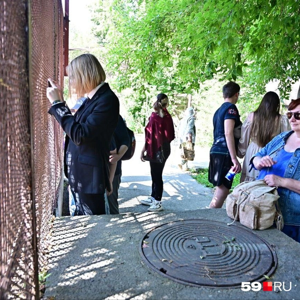 Источник: Василина Любимова / 59.RU 