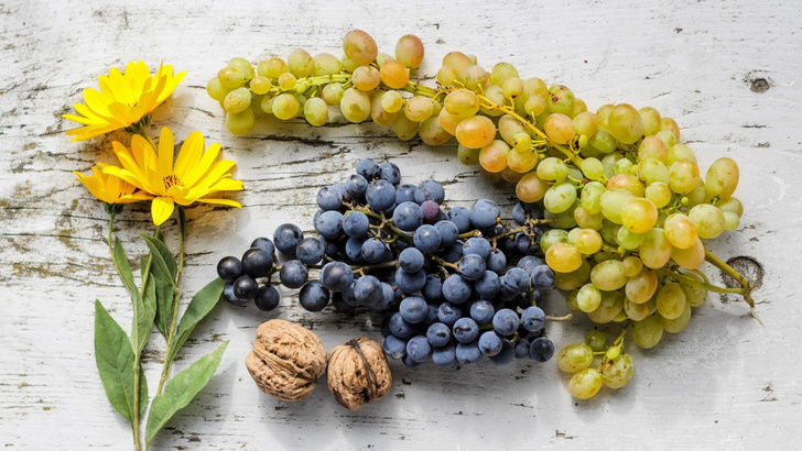 Гречка, виноград и проклятие инсулина: 10 самых распространенных мифов о диабете