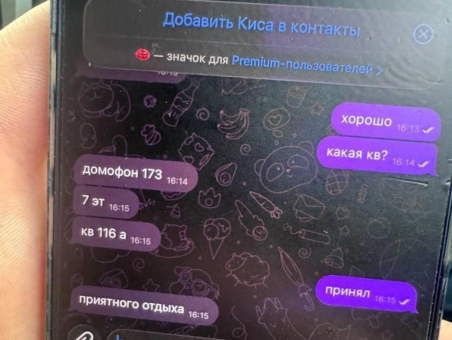 Переписка с оператором | Источник: предоставлено Дмитрием Чукреевым