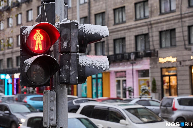 Это первый снег для города, но в области он выпал еще 7 октября | Источник: Александр Ощепков / NGS.RU