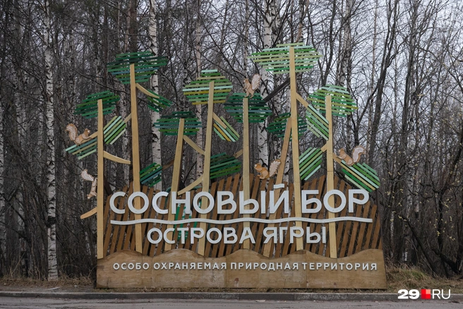 Источник: Иван Митюшёв / 29.RU