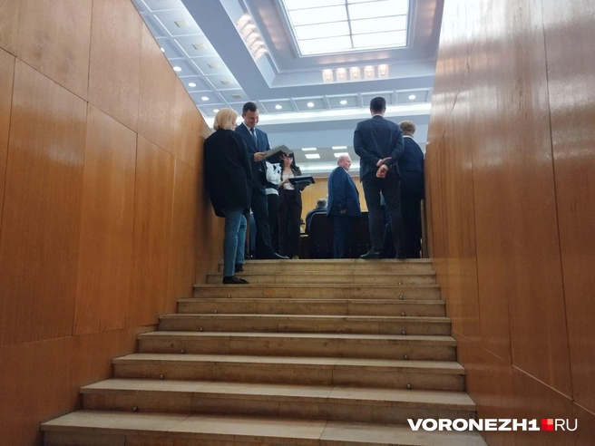 Источник: Дмитрий Волгин / Voronezh1.ru