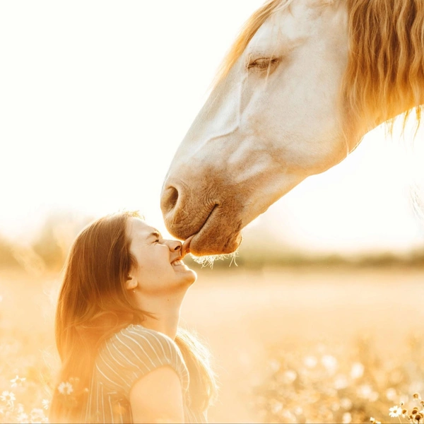 Источник: International Pet Photography Awards