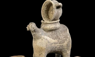 Вино Армагеддона: в Израиле нашли винодельческий пресс возрастом 5000 лет и предметы культа (фото)