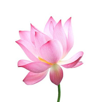 Аватарка Katarsis575