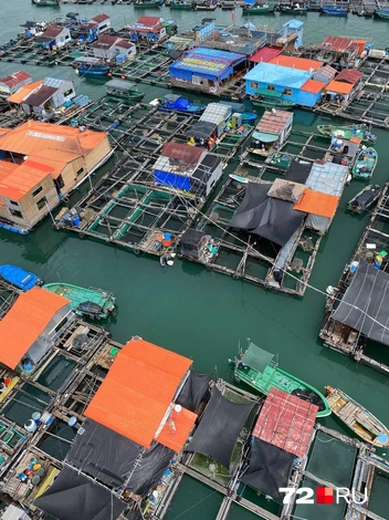 Источник: Елизавета Ч.