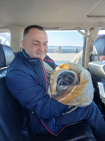Источник: Антон Боярко