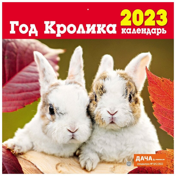 Календарь настенный перекидной на 2023 год «Год кролика»