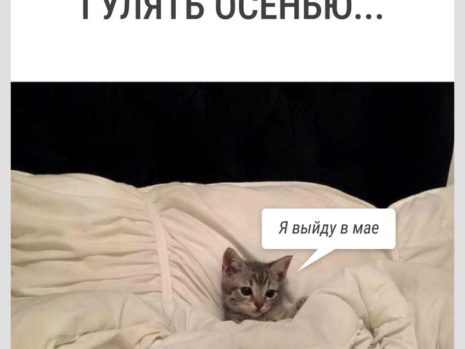 А может быть, и в июне | Источник: Городские медиа