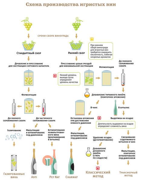 Как производят вина и какими они бывают: краткий гид с картинками