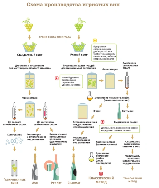 Как производят вина и какими они бывают: краткий гид с картинками