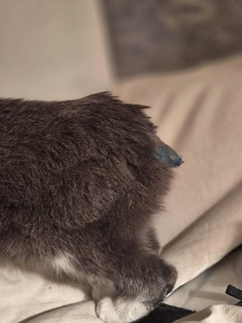 Источник: endless wonder / Telegram