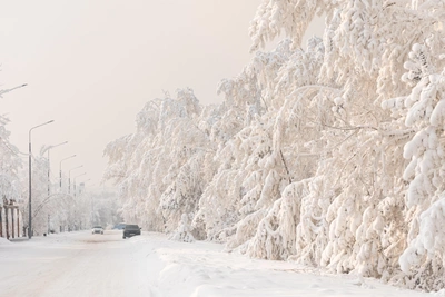 Спасатели дали советы мурманчанам на время морозов