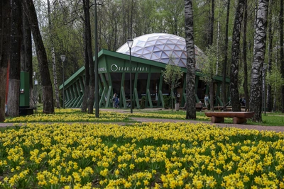 Тепло вернётся в Нижний Новгород на следующей неделе