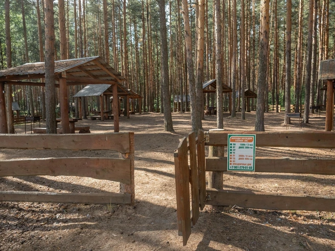 Предлагаются разные платные форматы: от беседок до участков на берегу и домиков с отоплением | Источник: Александр Куренной / 76.RU