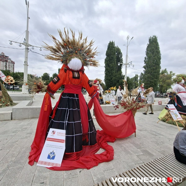 Источник: Алёна Воропаева / Voronezh1.ru